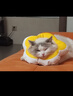 华元宠具（hoopet）猫咪伊丽莎白圈项圈宠物狗狗圈耻辱圈颈圈脖圈头套犬防舔头罩头套 实拍图