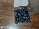 佳沃（JOYVIO） 蓝莓 大果18mm+ 6盒礼盒装 125g/盒 新鲜水果礼盒 实拍图