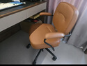 西昊欧包椅L3 皮椅电脑椅人体工学椅书房椅书桌椅办公椅撑腰椅子 实拍图