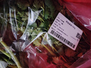 带根香菜100g 实拍图