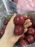 京鲜生 智利进口樱桃李4J级5斤礼盒装 年货礼盒 送礼 新鲜水果 实拍图