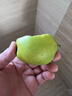 京鲜生 长城翡翠香梨 中果 净重5斤 单果100g+ 生鲜水果礼盒 实拍图
