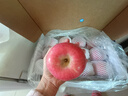 京鲜生 栖霞红富士苹果 净重6.4斤 单果230g+ 水果礼盒 实拍图