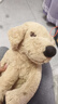宜家（IKEA）古西格格登玩偶公仔宠物狗抱枕送礼女生睡觉毛绒玩具生日礼物 狗/金毛寻回犬70cm 实拍图