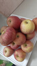 京鲜生 陕西洛川红富士苹果 净重8斤 单果200g 生鲜水果 实拍图