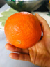 京鲜生 四川爱媛38号果冻橙 净重5斤 单果130g起 生鲜水果柑橘年货礼盒 实拍图