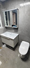 九牧（JOMOO）浴室柜陶瓷一体盆卫生间洗脸盆柜组合洗手盆卫浴洗漱台A2741升级 智能款 双侧灯|除雾 淡藕70cm 【无龙头】 实拍图