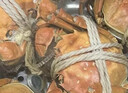【活蟹】漁家师傅大闸蟹公3.5-3.8两母2.5-2.8两4对8只 鲜活螃蟹生鲜年货礼盒 源头直发 实拍图