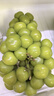 阳光玫瑰葡萄晴王青提香水提子山西新鲜水果一斤也是批发价 带箱5斤大果【单果克重10g-20g】（净重约4.5斤） 实拍图