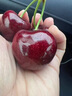 田良季智利进口车厘子【JD/顺丰-多地次日达】4j级大樱桃水果送礼年货盒 2斤(净重) 礼箱装【较划算】 超级巨无霸 4J 32-34mm丨蕞大蕞甜 实拍图