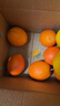 集年鲜赣南脐橙手剥甜橙子新鲜现摘生鲜水果整箱节日送礼 净重9斤精品果（单果220-300g) 实拍图