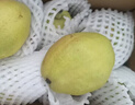 京鲜生 新疆库尔勒香梨 净重10斤 一级 单果100-120g 生鲜水果 实拍图