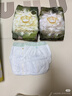 babycare金山茶花拉拉裤XL34片(12-17kg)婴儿尿不湿超薄透气新生柔花苞裤 实拍图