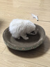 疯狂的主人猫抓板窝碗形大号猫抓盆不掉屑猫窝宠物猫玩具瓦楞纸猫爪板 实拍图