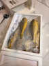 三都港 冷冻宁德黄花鱼礼盒1800g/4-6条 大黄鱼 生鲜鱼类 海鲜 年货礼盒 实拍图