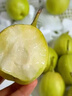 京鲜生 新疆库尔勒香梨 净重10斤 一级 单果100-120g 生鲜水果 实拍图