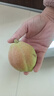 京鲜生 新疆库尔勒香梨 净重5斤 一级 单果100g-120g  生鲜水果 实拍图