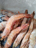 鲜京采野生海捕对虾 净重3斤/盒 30-45只/盒 实拍图