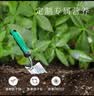 金雅特营养土发财树专用土壤阳台泥炭椰砖土肥料有机种植土通用20升 实拍图