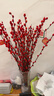 【银柳送挂饰】年宵花⭐真花鲜枝红色客厅室内干花盆栽摆件水培 【20枝】招财银柳-送新春挂件 60cm 实拍图
