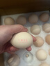 1号会员店 可生食标准鲜鸡蛋30枚 净重3斤 1号会员店自有品牌  源头直发 实拍图