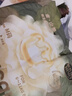 babycare金山茶花婴儿纸尿裤mini装NB34片(<5kg)新生儿尿不湿【新老混发】 实拍图