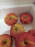 京鲜生 陕西洛川苹果红富士12粒 单果180-220g 生鲜水果 实拍图