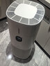 东芝（TOSHIBA）加湿器空气净化器无雾加湿净化一体机除醛除菌除敏母婴家用防干燥家用消毒杀菌大白梨Pro 实拍图