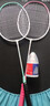 红双喜（DHS）羽毛球拍对拍套装含球训练比赛成人儿童学生防磨羽拍2支双拍 实拍图