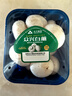 白蘑菇(口蘑) 230g 实拍图