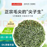 乐品乐茶毛尖特级明前绿茶2025新茶自己喝过年货茶叶礼盒装250g送礼送爸妈 实拍图