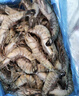 鲜京采 鲜冻大号黑虎虾 去冰净重2斤 31-40只/盒 斑节对虾 实拍图