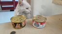 富力鲜（Frisian）泰国进口 猫罐头85g*24罐白身鲔鱼+牛肉罐头成猫宠物猫粮零食湿粮 实拍图