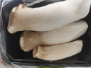 杏鲍菇约250g 实拍图