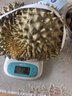 梦宛怡榴莲金枕新鲜果整箱一整个带壳泰国进口巴掌金枕头榴莲时令水果 净重3-4斤精选老树果（出肉率更高） 泰国进口金枕榴莲 实拍图