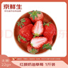 京鲜生 红颜奶油草莓 1斤装 15-20颗 单果22g+  生鲜年货水果 实拍图