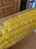 佳农宝菜山东新鲜水果玉米带绿皮单根200g+净重4.6斤4-7根源头直发 实拍图