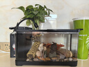 阔庭（KUOTING）溪流缸2025新款鱼缸制氧一体式懒人生态造景侧滤溪流缸【黑色】 实拍图