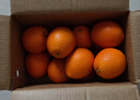 京觅江西赣南脐橙4.5斤净重橙子单果170g年货纽荷尔甜橙水果源头直发 实拍图
