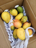 【26年爆款】海南小台芒纯甜芒果源头直发 带箱两斤装90g+ 实拍图