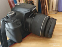 佳能（Canon）EOS 2000D+18-55mm III 套机 单反相机 高清性价比优选 初学者学生单反入门 微单 实拍图