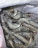东上御品虾 青岛大虾基围虾鲜活青虾白虾海虾对虾冰虾冻虾生鲜 虾类 海鲜 3斤(净重)  气冻大虾【活虾速冻】 17-21cm【特大虾皇】 实拍图