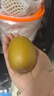 佳沛（zespri）佳沛奇异果新西兰进口阳光金果【JD顺丰-送货上门】黄心猕猴桃 【礼盒】优选 9颗 单果约100-120g 实拍图