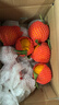 生活＆好管家四川丑橘不知火特大果新鲜水果桔橘子丑柑丑八怪整箱 9-10斤【家庭装】净重8.5斤 果径80-85mm【大果】 实拍图
