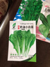 【种子大全】12种蔬菜种子四季菜种子阳台盆栽绿植庭院易种春秋 香菜+小白菜+菜心+上海青+菠菜 实拍图