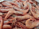 鲜京采 进口格陵兰北极甜虾 净重2斤 90-150只 生甜虾 年货聚餐 实拍图
