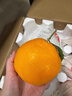 京鲜生 四川春见耙耙柑 净重8斤 单果220g起 生鲜水果柑橘桔子年货礼盒 实拍图