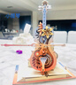 若客（ROKR）绮梦大提琴 八音乐盒积木拼图diy拼装模型玩具新年生日情人节礼物 实拍图