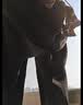 浪莎女秋衣秋裤100%纯棉柔软舒适抗菌防螨发热保暖内衣套装打底棉毛衫 实拍图