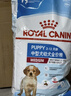 皇家狗粮 幼犬狗粮 中型犬MEJ32 全价犬粮 2-12月 4KG【定期购】 实拍图